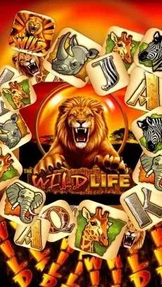 Official Wild Life Casino cover